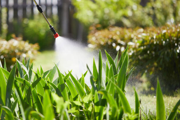 24/7 Emergency Rodent Control experts in Holiday Island, AR