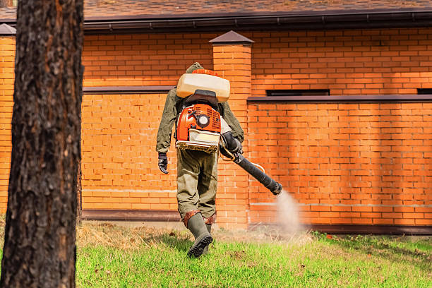 Trusted Emergency Pest Control service in Holiday Island, AR - Nex Pest Control